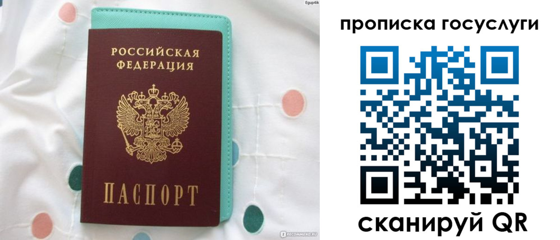 прописка поиск в Вяземском